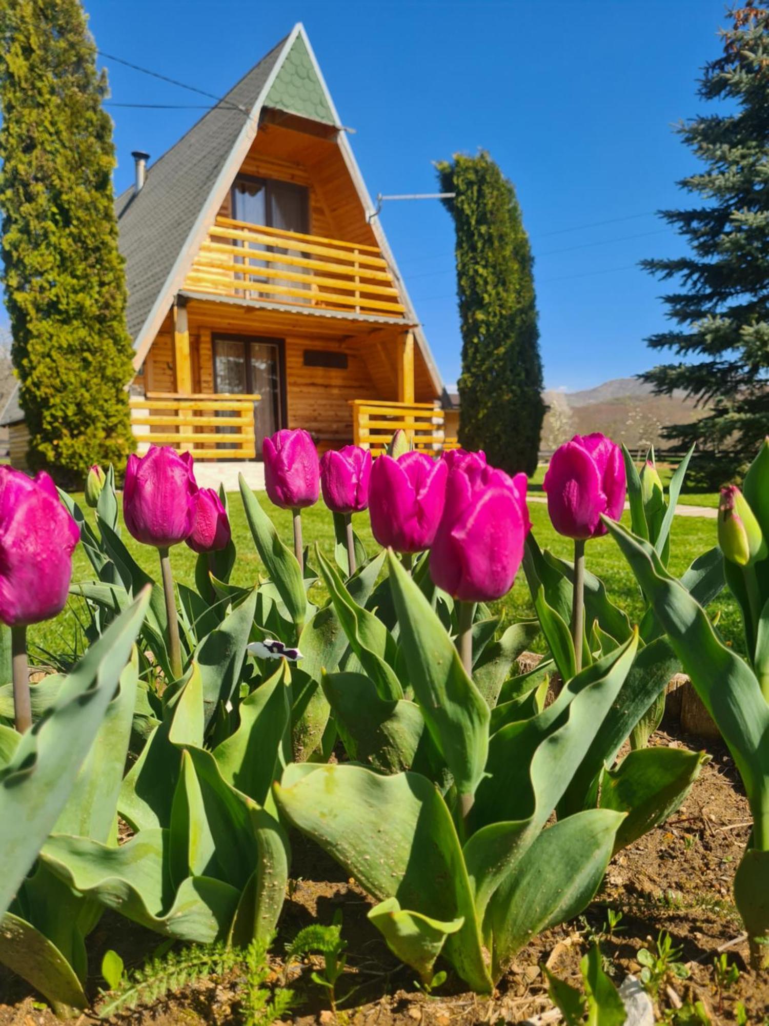 Chalet Velebitska Kuca Velika Plana Eksteriør billede